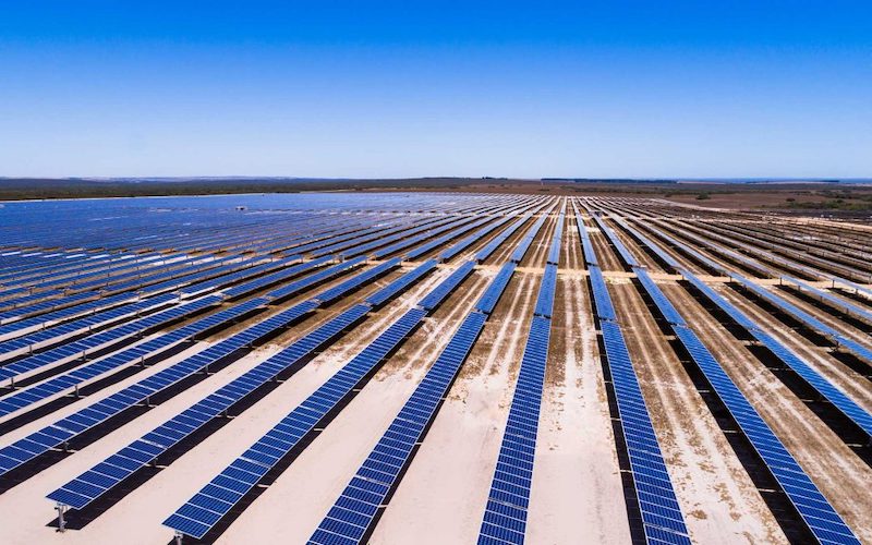 Rows of solar panels on farmland.