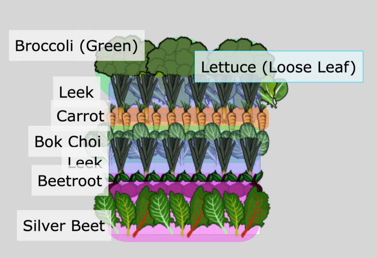 vegetable planting graph