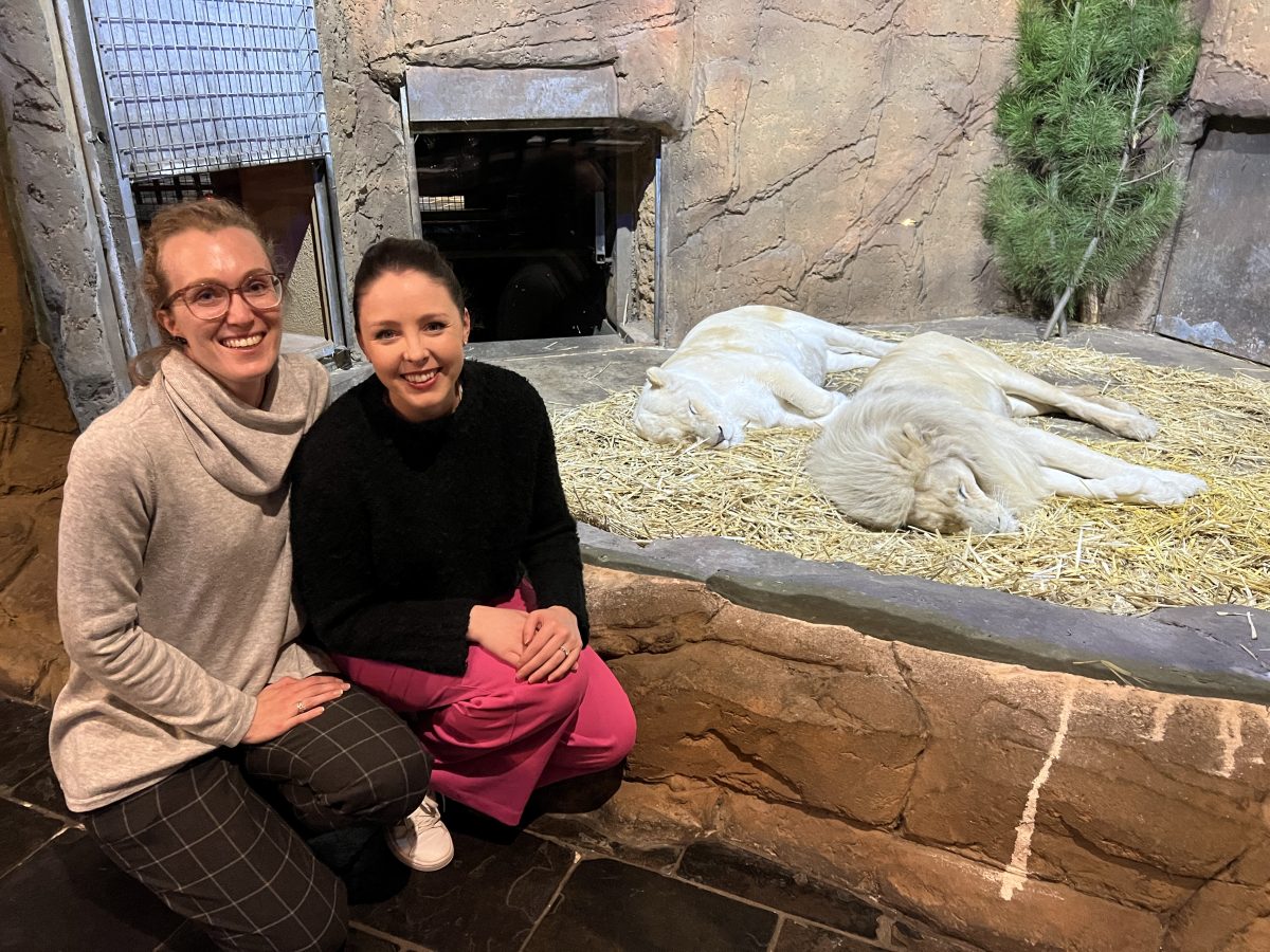 smiling friends next to sleeping white lions