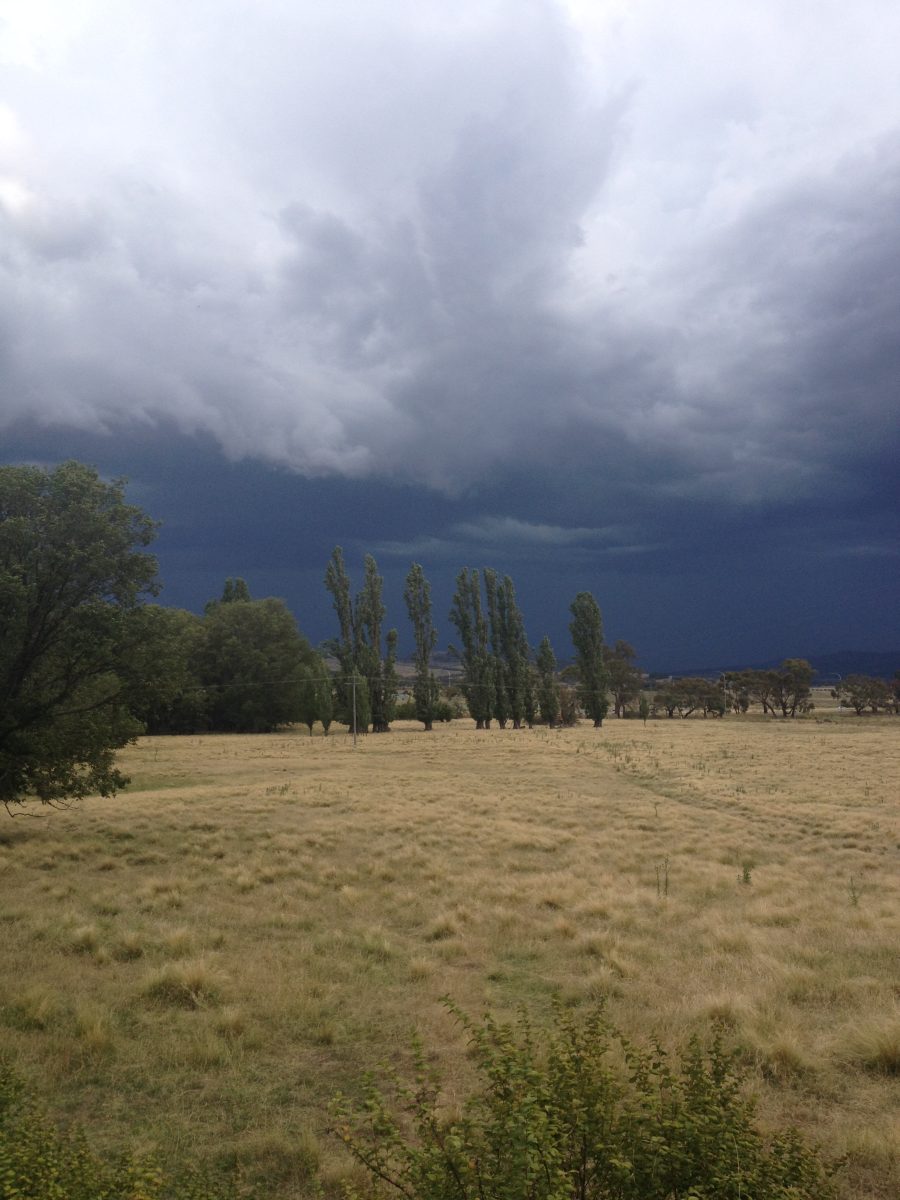 Storm clouds over paddock 
