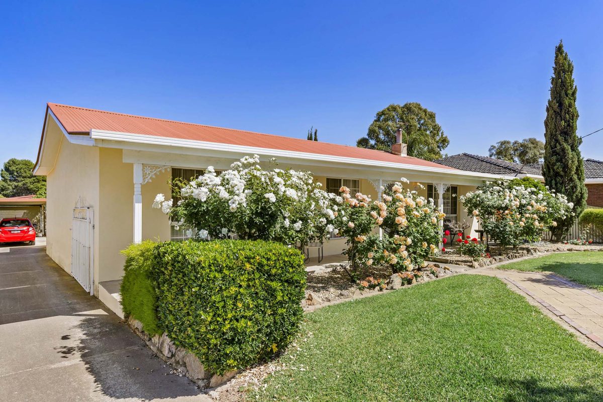 Country cottage with rose gardens in front 