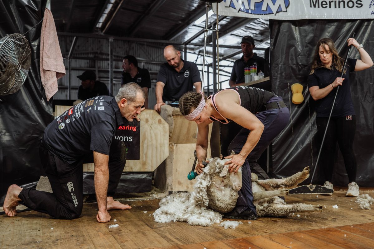 A woman bent over to shear a sheep with people standing around her