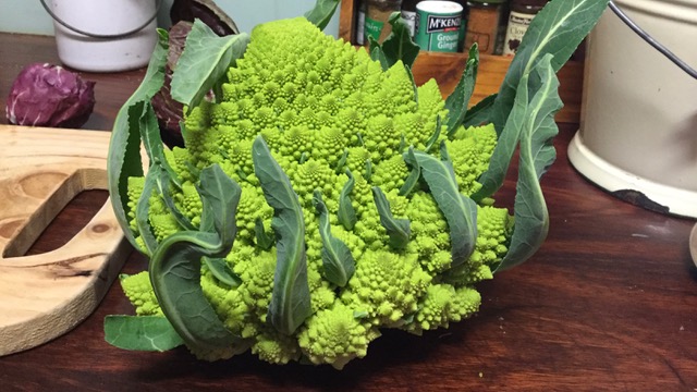 romanesque cauliflower 