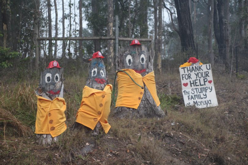 Tree stumps dressed up as the Stumpy Family.