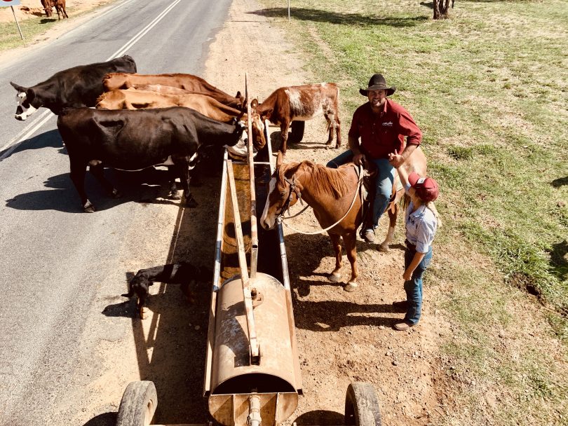 Drovers Luke Morris and Nikita Hayes.