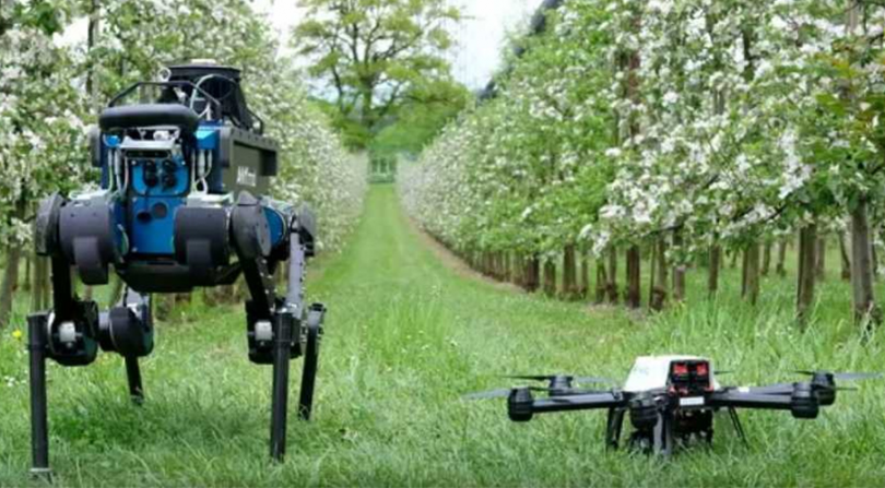 Farming robotics and artificial intelligence