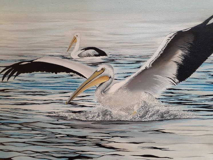 Pelican artwork