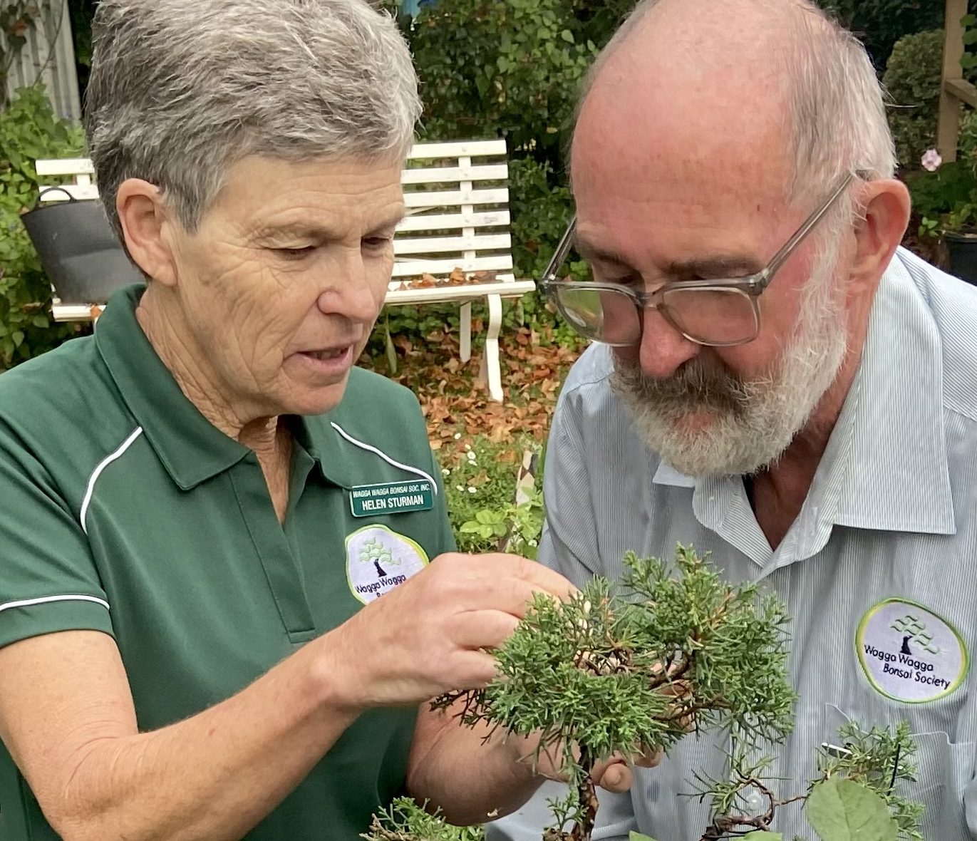 woman and man looking at bonsai