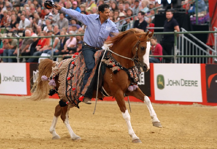 A horse that loved humans more than his own kind, Snowy relished his time in the spotlight