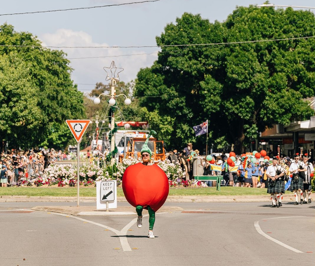 Man dressed as a cherry leads a parade down the main street of Young.