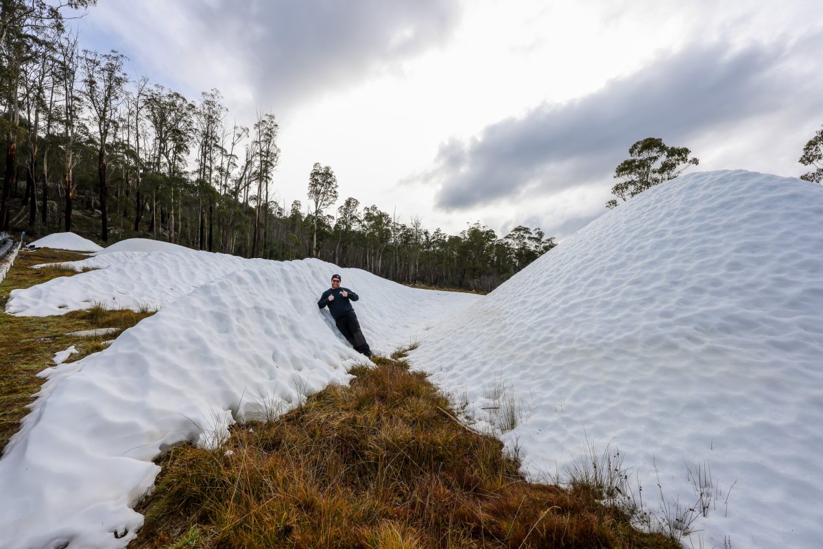 Man-made snow is Corin Forest's speciality.