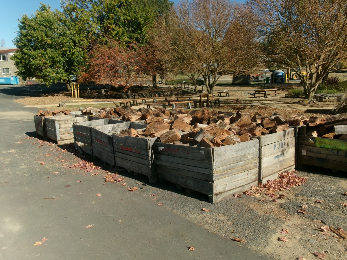 Mannus prison wood drive