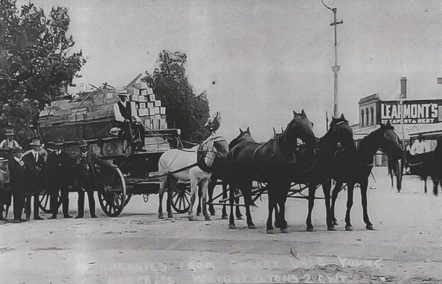 Cherry Vale cherries