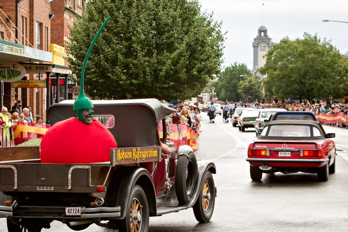 Young Cherry Festival