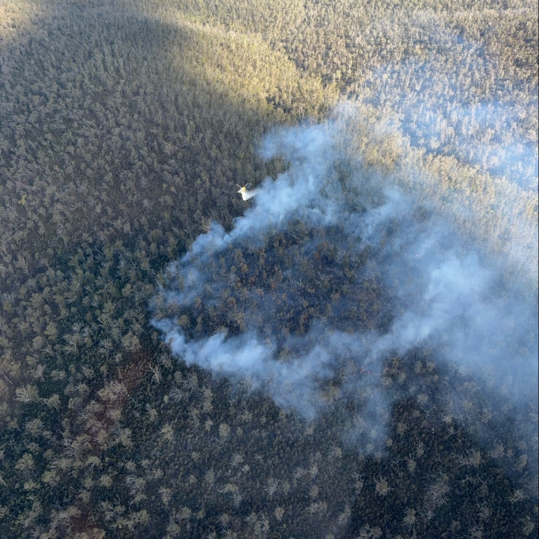 aerial photo of bushfire