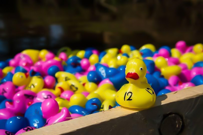 duck race, Tumbafest