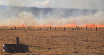 Bushfire outlook: NSW and ACT at risk of fast-moving grassfires