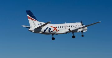 Widespread support for Federal Government decision to take on $50 million of Rex Airlines debt