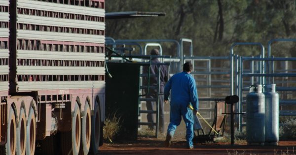 Southern Region police targeting stock theft