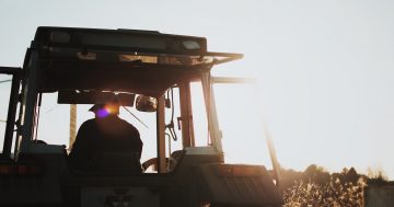 New website to help farmers find workers ahead of bumper season