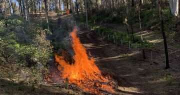 Bushfire warning ahead of expected warm and windy weekend