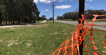 Wagga's controversial Kooringal Rd works pushed back to next year