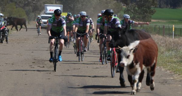 Bushies turn to burpees and bikes to forge connections