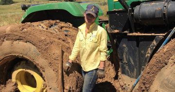 Southern NSW farmers bogged down in bumper harvest