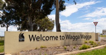 Still up in the air: McCormack pushes back on Wagga Council's airport election agenda
