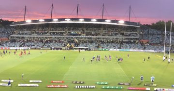 Pre-season trial in Griffith more than a game for Brumbies' hopefuls