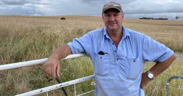 Maxwell landowners to fight 'chase for profits' solar farm project just outside of Wagga