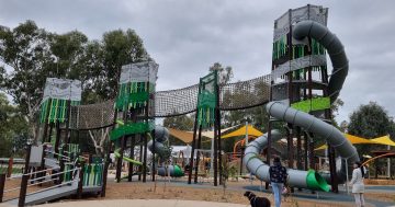 Playground designers bring a unique vision to life