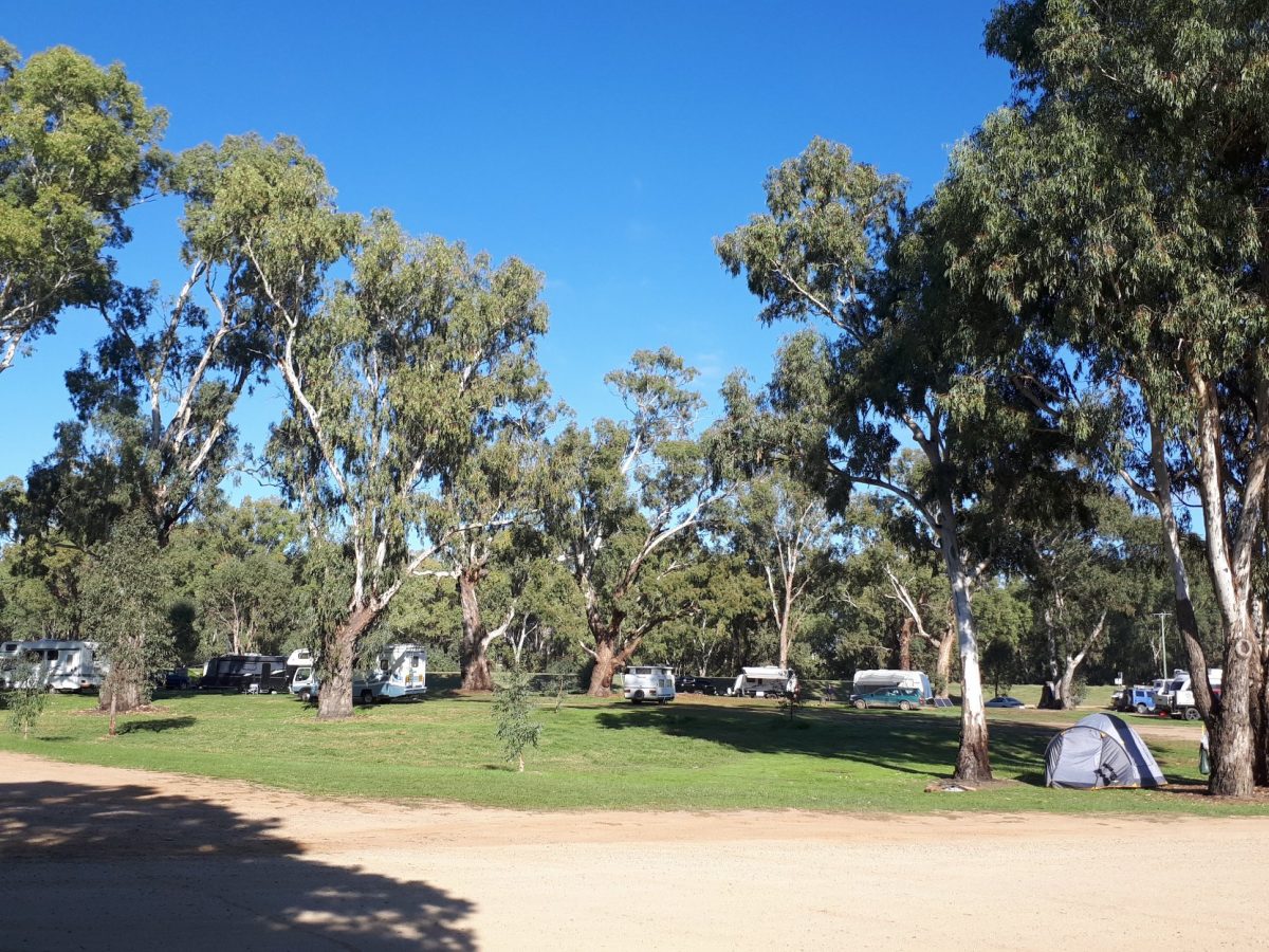 Wilks Park on the Murrumbidgee River has historically served as a refuge of last resort for Wagga citizens finding themselves homeless - it is hoped housing support funding will contribute to assisting those who find themselves here. Photo: WikiCamps.