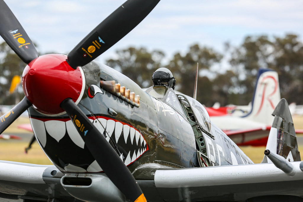 Warbirds Downunder plane