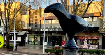 'Crows' or 'Dancing'? Are you still wondering what Wagga means?