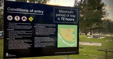 'Coldhearted': State Government responds to council's claims over Wilks Park homeless furore