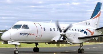 Regional councils disappointed but not surprised by flight cuts as pilot poaching clips Rex's wings
