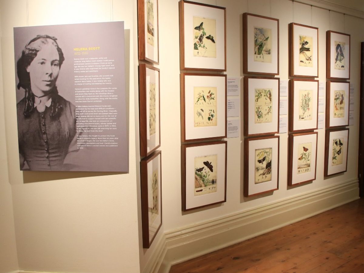 Scott Sisters exhibition at Museum of Riverina