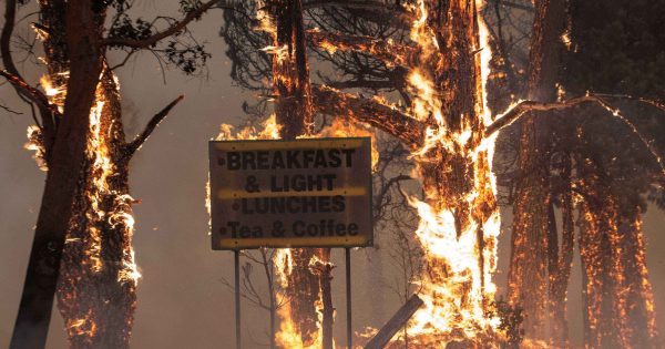 Cootamundra Fire Trails upgraded to improve firefighter access