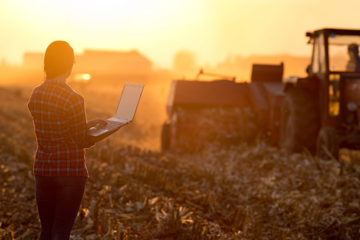 Young farmer on field with laptop