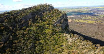 Wagga receives funding for environmental developments