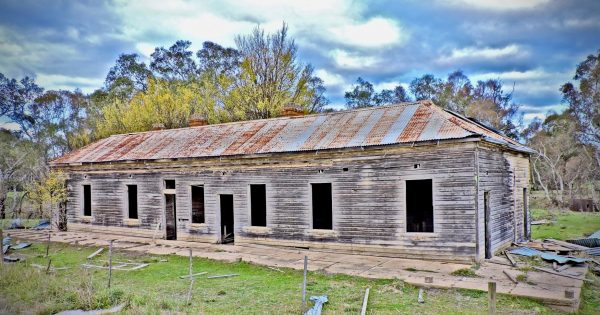 Riverina Rewind: great location - shame about the fleas