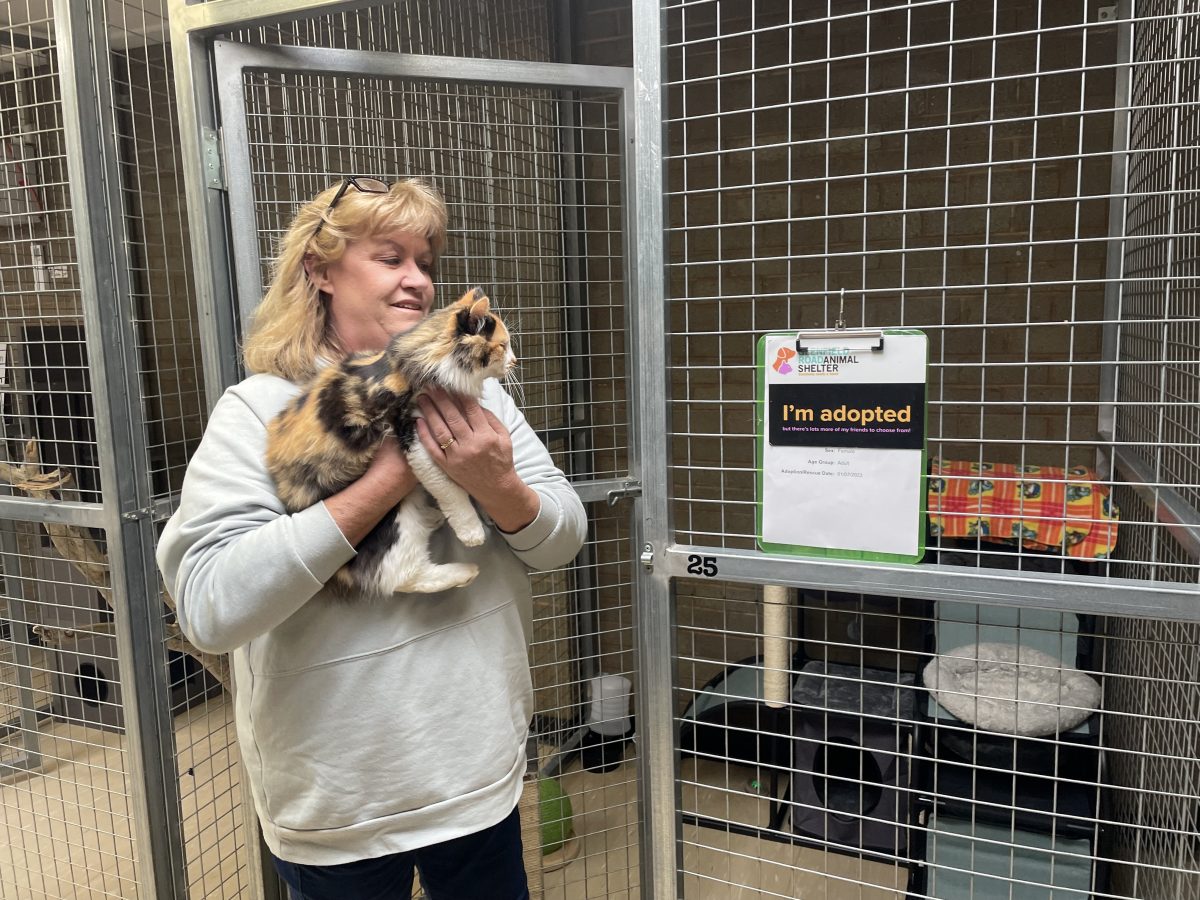 Volunteer Leanne Rea with a cat at Glenfield Road Animal Shelter 