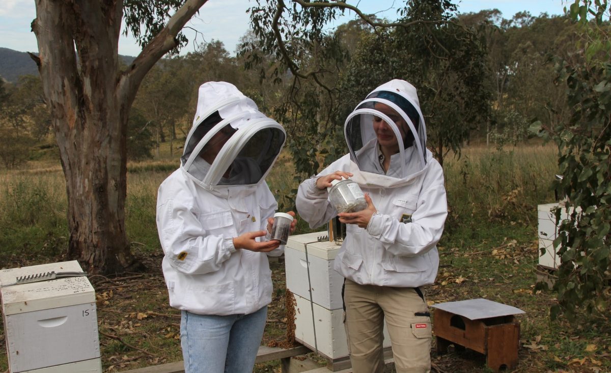 two people in beekeeper suits