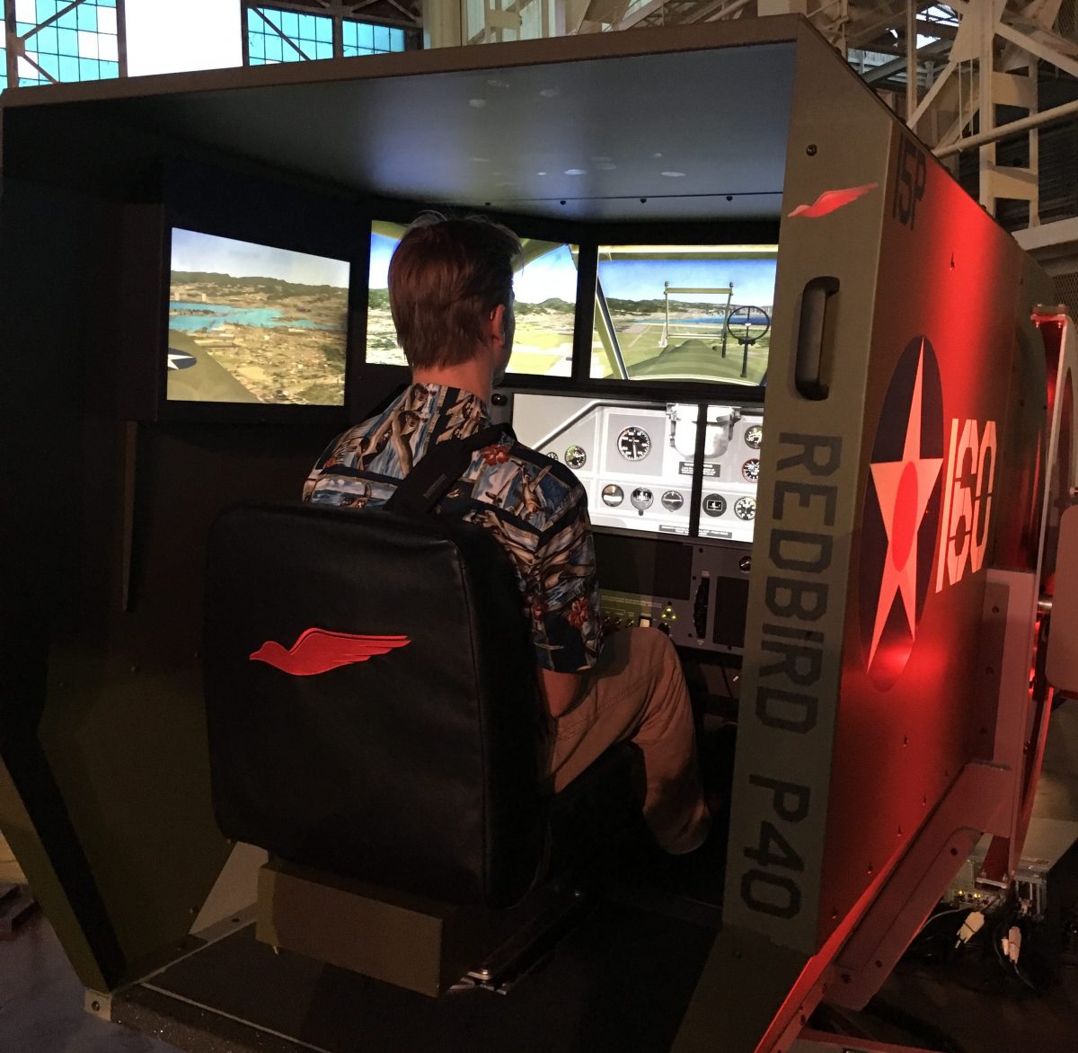 Man using a flight simulator