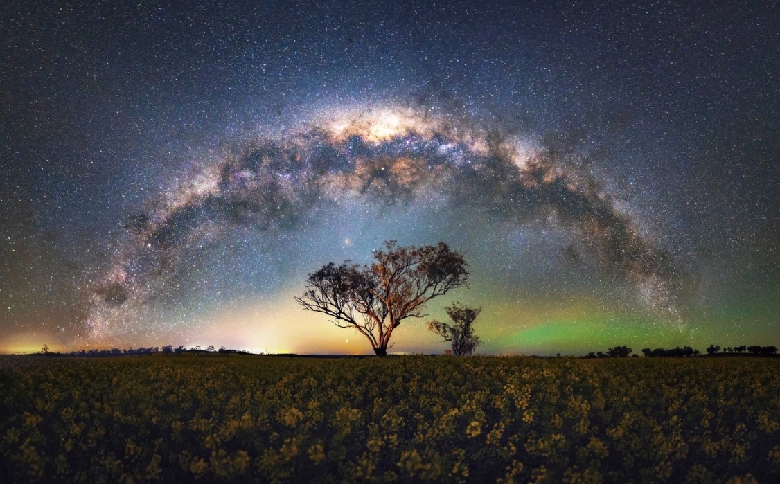 Canola Milky Way astrophotography