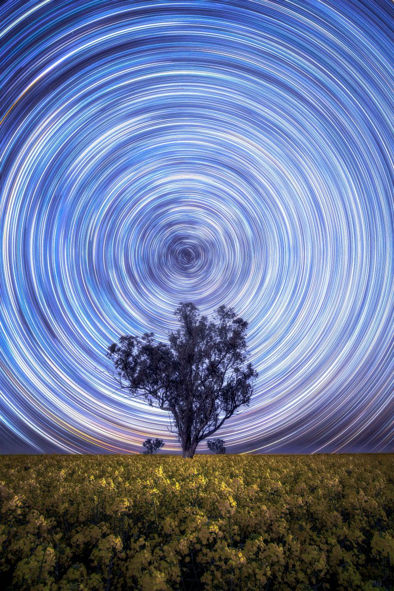 canola and Milky Way astrophotography