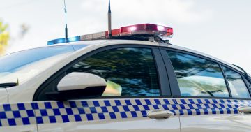 Albury man charged over alleged assault of police, property offences