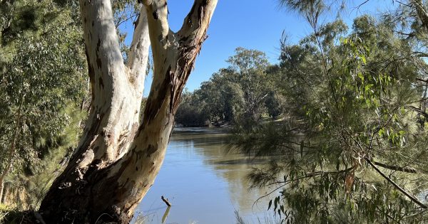 Wagga mourns passing of esteemed Wiradjuri elder James Ingram