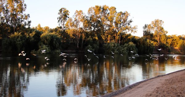 UPDATED: Police call off search for mystery Wagga beach swimmer